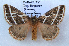 FIGURE 1a FIGURE 1a